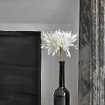 Apartamento Voltaire Carcasona
