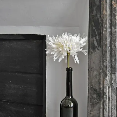 Lägenhet Voltaire Carcassonne